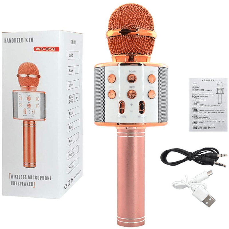 Microfono Karaoke prezzo